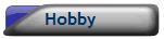 Hobby