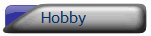 Hobby