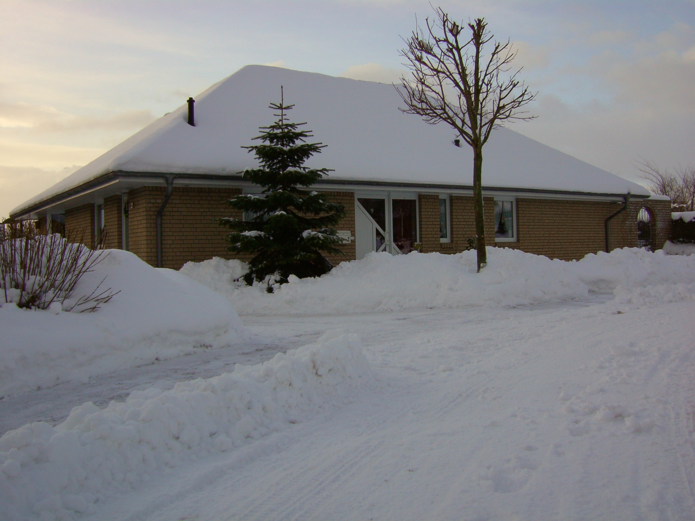 winter