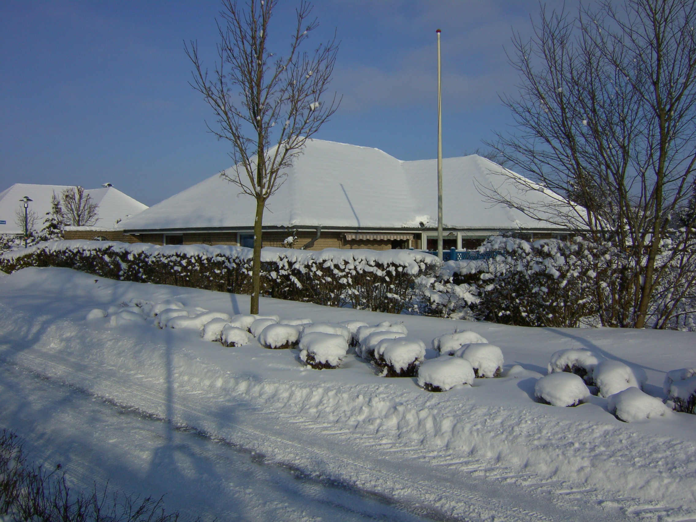 winter1