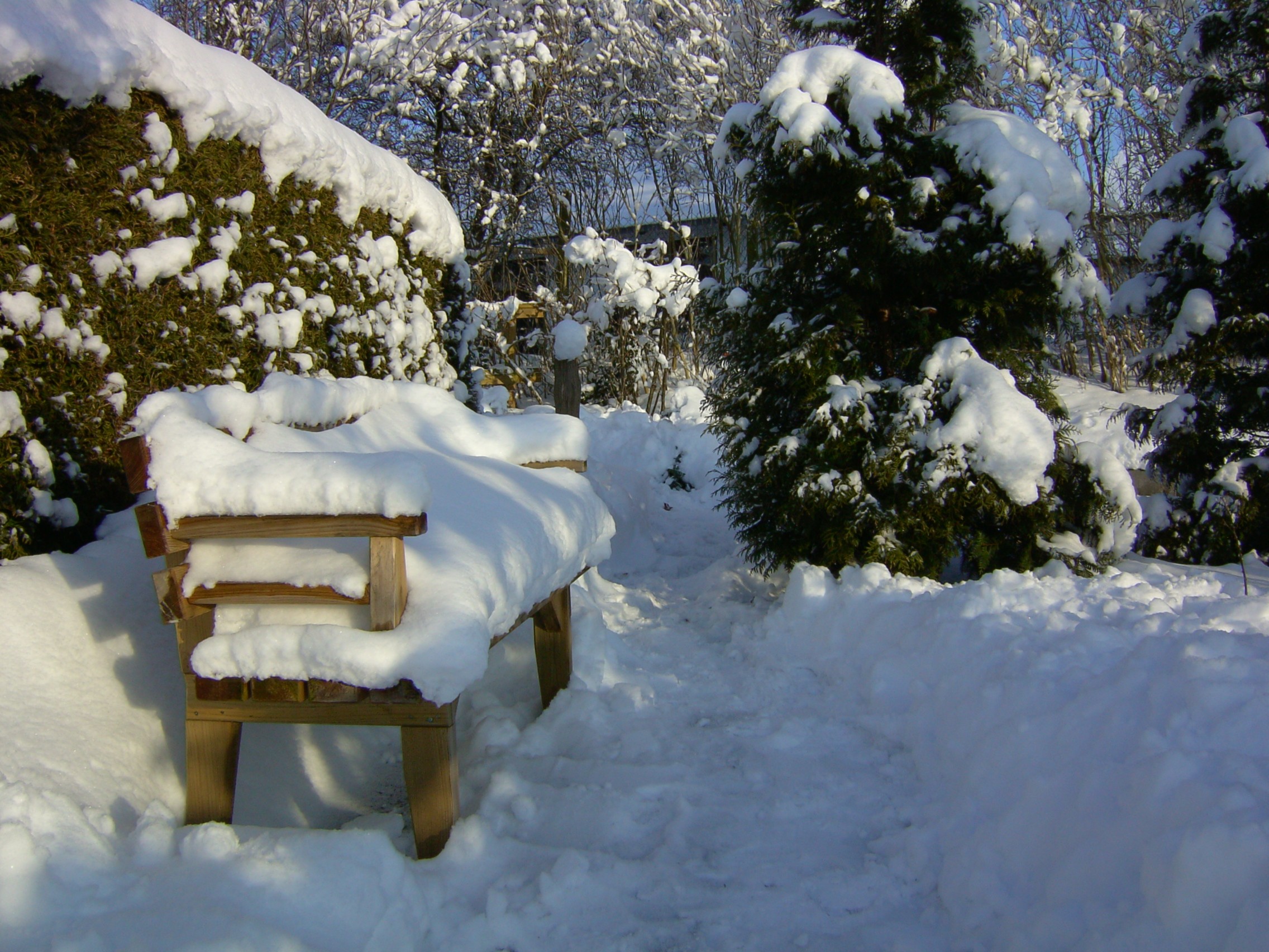 winter4